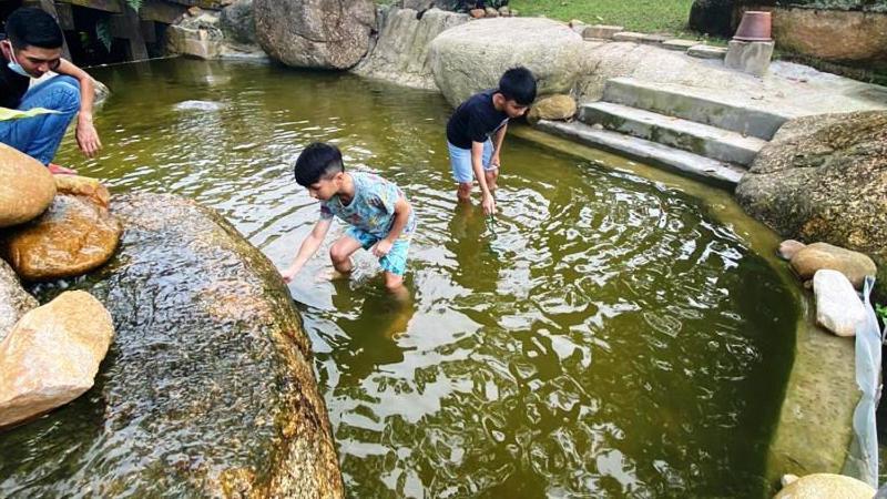 Pulai Spring Resort Kampung Kangkar Pulai エクステリア 写真